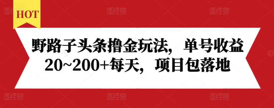 野路子头条撸金玩法，单号收益20~200+每天，项目包落地-云创网