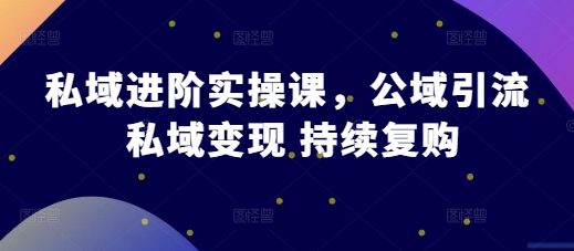 私域进阶实操课，公域引流 私域变现 持续复购-云创网