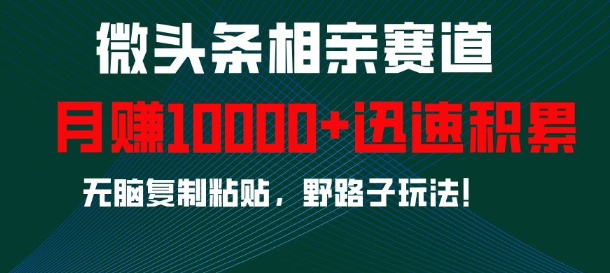 微头条相亲赛道，迅速积累，无脑复制粘贴，野路子玩法，月入1w-云创网