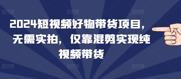2024短视频好物带货项目，无需实拍，仅靠混剪实现纯视频带货-云创网