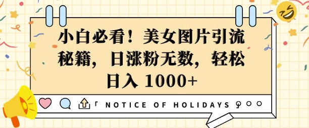 小白必看，美女图片引流秘籍，日涨粉无数，轻松日入几张【揭秘】-云创网