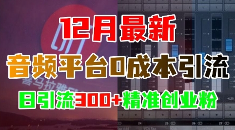 12月最新：音频平台0成本引流，日引流300+精准创业粉-云创网