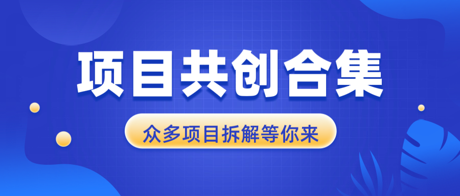 项目共创合集，从0-1全过程拆解，让你迅速找到适合自已的项目-云创网