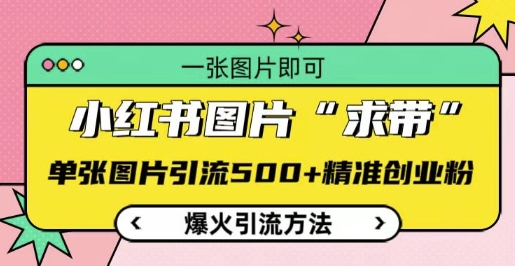 小红书图片‘求带’爆火引流法，单张图片引流500+精准创业粉【揭秘】-云创网