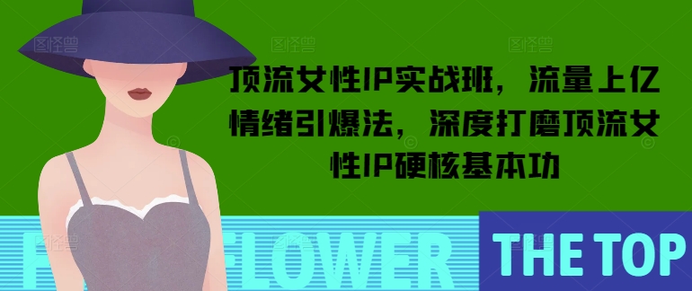 顶流女性IP实战班，流量上亿情绪引爆法，深度打磨顶流女性IP硬核基本功-云创网