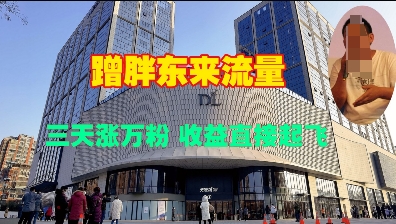 蹭胖东来流量，三天涨万粉，收益直接起飞-云创网