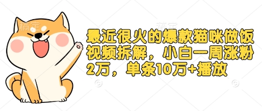 最近很火的爆款猫咪做饭视频拆解，小白一周涨粉2万，单条10万+播放(附保姆级教程)-云创网