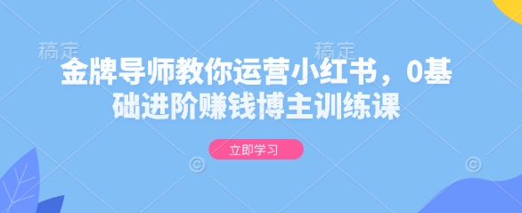 金牌导师教你运营小红书，0基础进阶赚钱博主训练课-云创网