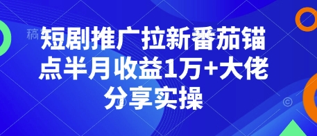 短剧推广拉新番茄锚点半月收益1万+大佬分享实操-云创网