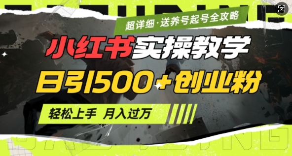 2月小红书最新日引500+创业粉实操教学【超详细】小白轻松上手，月入1W+，附小红书养号起号SOP-云创网
