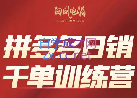 白凤电商·拼多多日销千单训练营(更新3月)-云创网