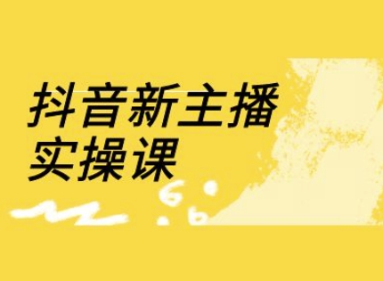 抖音新主播实操课，直播间流量运营线上实操课(18节)-云创网