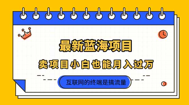 2025年最新蓝海项目，卖项目小白也能月入过万-云创网