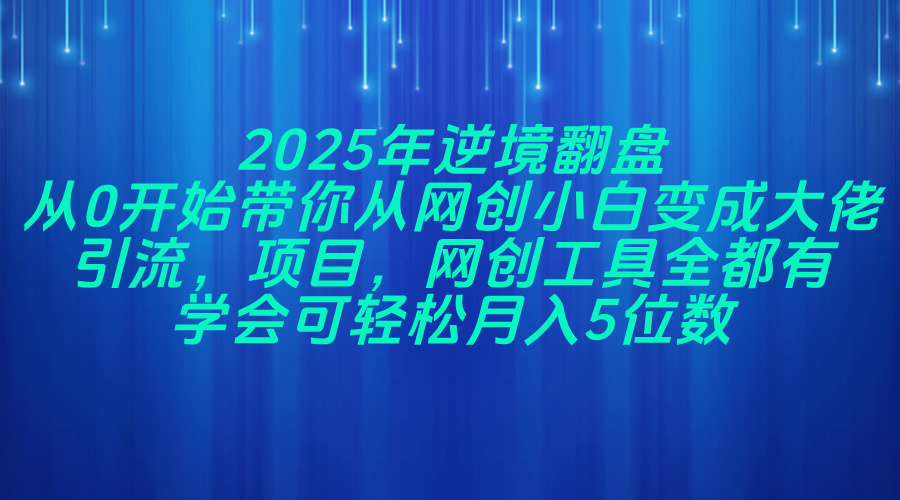 2025年逆境翻盘，从0开始带你从网创小白变成大佬，引流，项目，网创工…-云创网