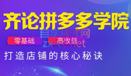 齐论拼多多vip课程-云创网