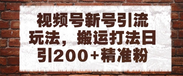视频号新号引流玩法，搬运打法日引200+精准粉，可矩阵放大【揭秘】-云创网