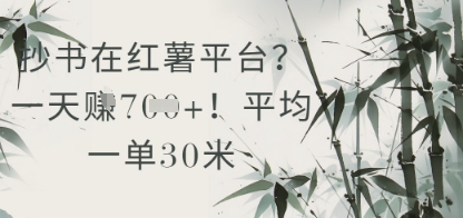 抄书在小红薯平台？平均一单30米，一天收益几张！-云创网