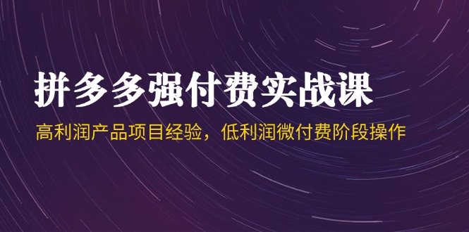 拼多多强付费实战课-44期，高利润产品项目经验，低利润微付费阶段操作-云创网