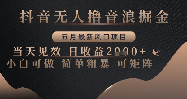 抖音无人撸音浪掘金，五月最新风口项目，当天见效，日收益多张，小白可做简单粗暴可矩阵【揭秘】-云创网
