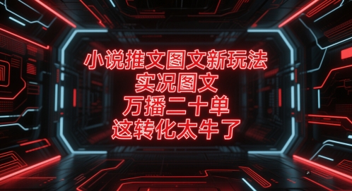 小说推文图文新玩法，实况图文，万播二十单，这转化太牛了！-云创网