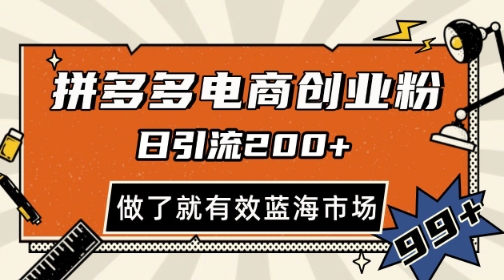 拼多多引流电商创业粉，日引200+，可矩阵放大，做了就有效【揭秘】-云创网