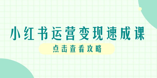 小红书运营变现速成课，账号搭建到暴力起号，个人IP全流程指南-云创网