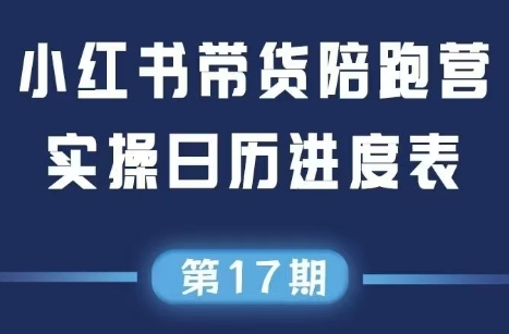 盗坤·抖音小红书视频号短视频带货与直播变现(11-17期)-云创网