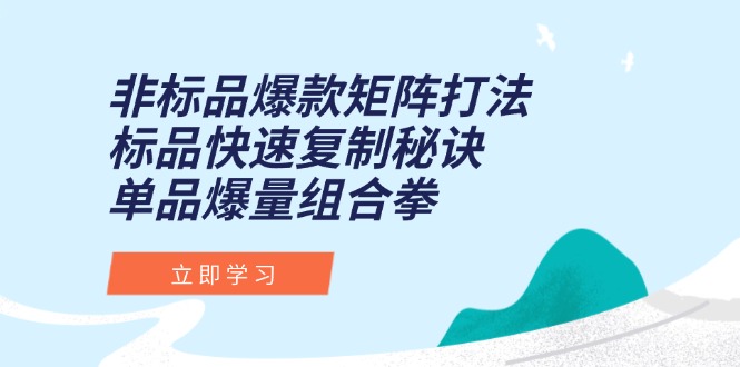 非标品爆款矩阵打法，标品快速复制秘诀，单品爆量组合拳-云创网
