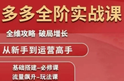 拼多多全阶实战课程，全维攻略，破局增长，从新手到运营高手-云创网