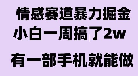 情感暴力掘金项目，新人操作一周挣了2W，长期稳定小白可做【揭秘】-云创网