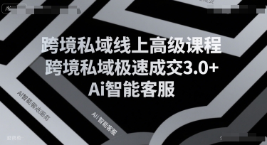 跨境私域线上高级课程，跨境私域极速成交3.0+Ai智能客服-云创网