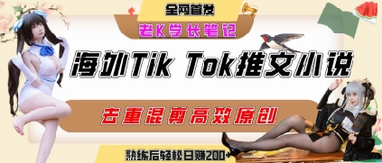 海外tiktok小说推文暴力项目，高停留率，高转化率，上手后一天搞顿饭钱不是问题-云创网