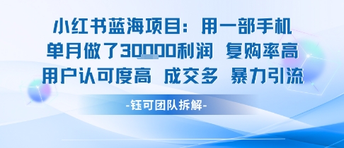 小红书蓝海项目，一部手机单月做了3W利润，小白也能月入过1W用户认可度高成交多-云创网