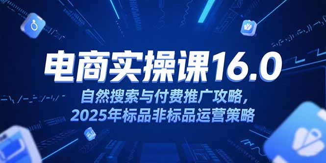淘宝电商运营课16.0，自然搜索与付费推广攻略，2025年标品非标品运营策略-云创网