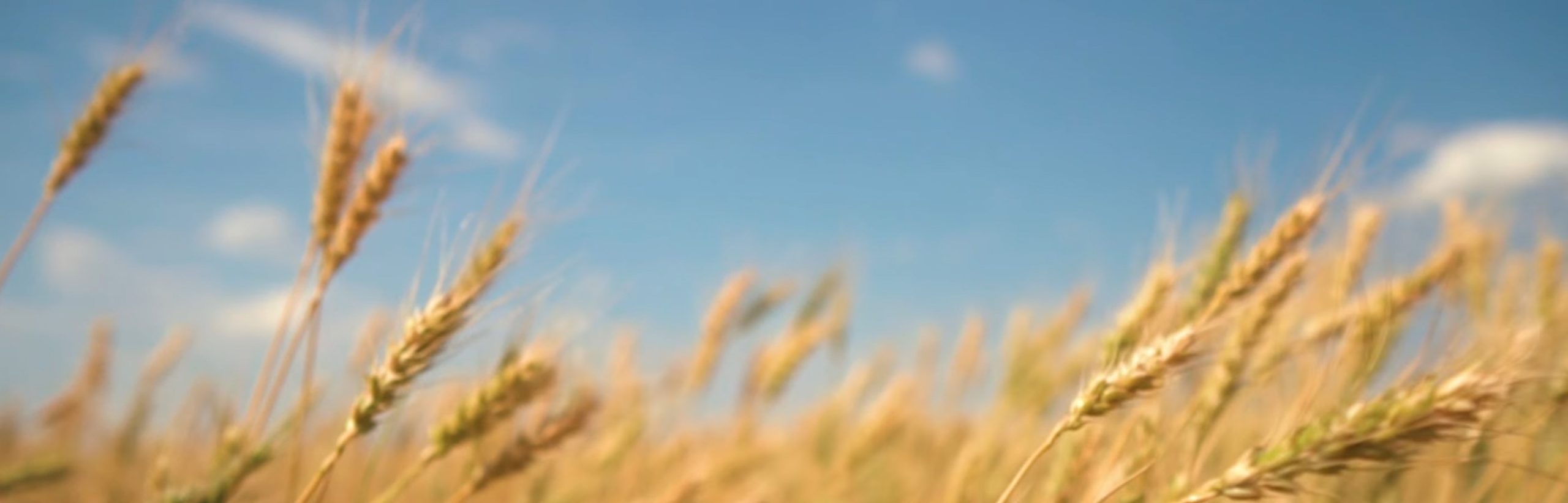 云创网-分享创业资讯-中创网-冒泡网-福缘网