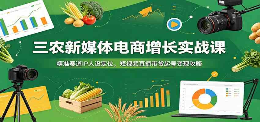 三农新媒体电商增长实战课：精准赛道IP人设定位，短视频直播带货起号变现攻略-云创网
