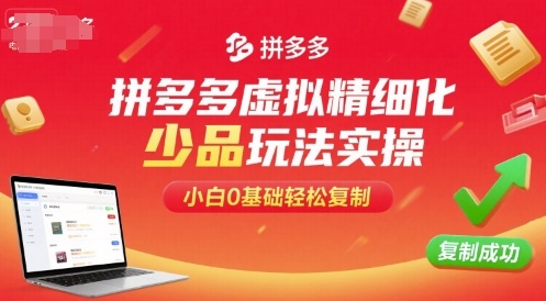 拼多多虚拟精细化少品玩法实操，小白0基础轻松复制-云创网