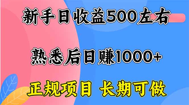 新手日收益500+ 正规项目 长期可做-云创网