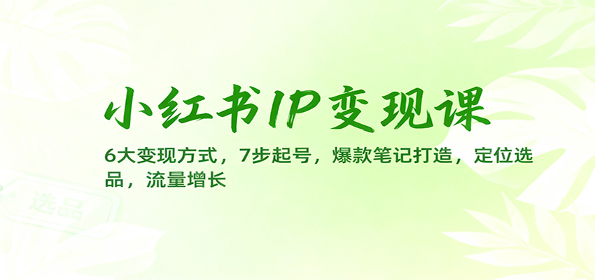 小红书IP变现课：6大变现方式，7步起号，爆款笔记打造，定位选品，流量增长-云创网