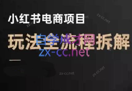 菲菲老师·小红书电商玩法(更新9月)-云创网