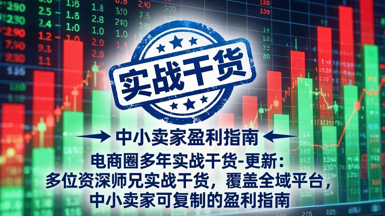 电商圈多年实战干货-更新4月27：多位资深师兄实战干货/覆盖全域平台，中小卖家可复制的盈利指南-云创网