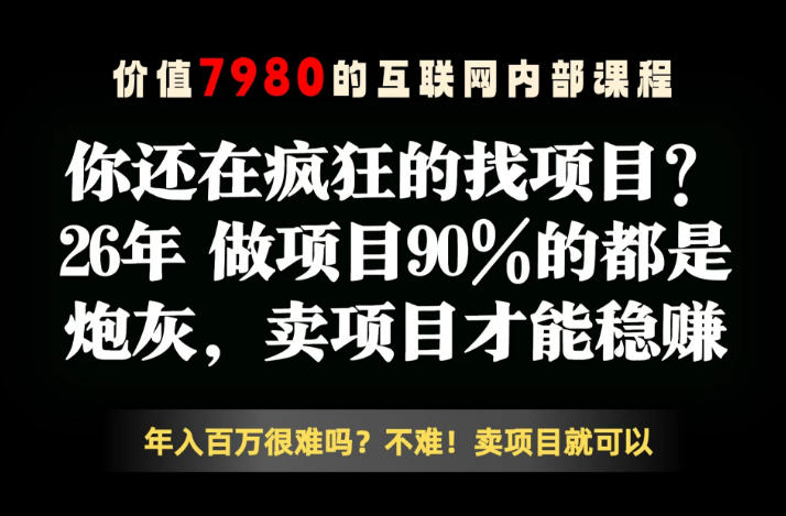 26年请不要疯狂的找项目了，卖项目远比你想象的暴利，你也可以月入10W+【揭秘】-云创网