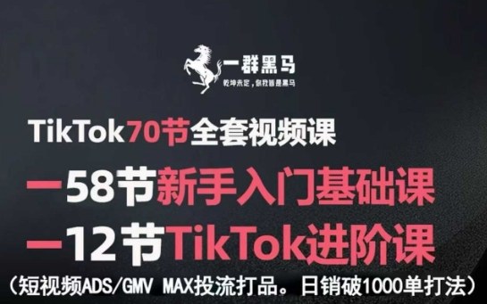TikTok全套视频课，新手入门+进阶课，短视频ADS-GMV MAX投流打品，日销破1000单打法-云创网