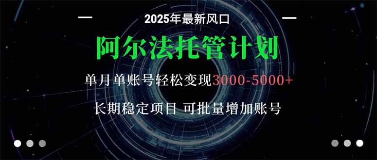 阿尔法托管计划 单账号月入3000-5000，长期稳定项目，新手小白轻松上手。-云创网
