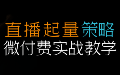 半野老师·直播带货起量与微付费必学课视频号-云创网