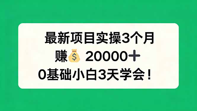 最新项目实操3个月，赚钱20000+，0基础小白3天学会！-云创网