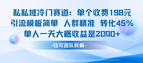 私域冷门赛道单个收费198米引流模板简单人群精准 45%的转化率单人一天大概收益多张-云创网