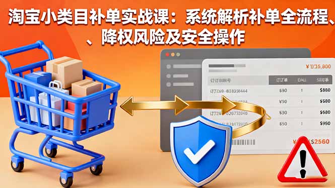 淘宝小类目补单实战课：系统解析补单全流程、降权风险及安全操作-云创网