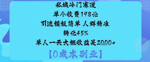 私域冷门赛道:单个收费198米引流模板简单人群精准转化45%单人一天大概收益是1k+-云创网