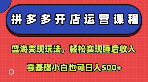 拼多多开店运营课程：蓝海变现玩法，轻松实现睡后收入，零基础小白也可日入5张-云创网